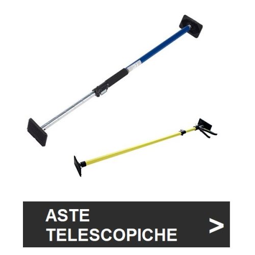 Aste telescopiche
