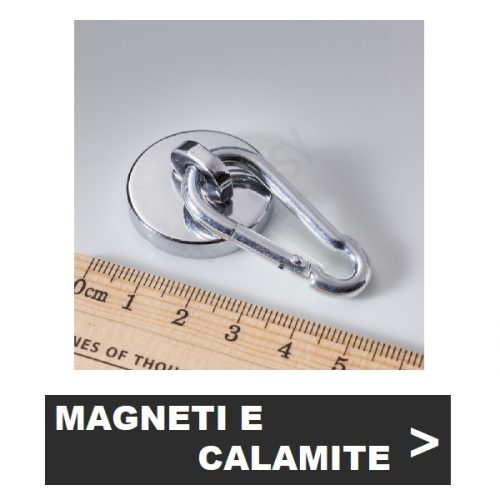 Magneti e calamite